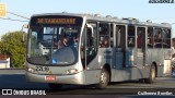 Viação Tamandaré 22L19 na cidade de Curitiba, Paraná, Brasil, por Guilherme Bomfim. Número da foto: #6614804.