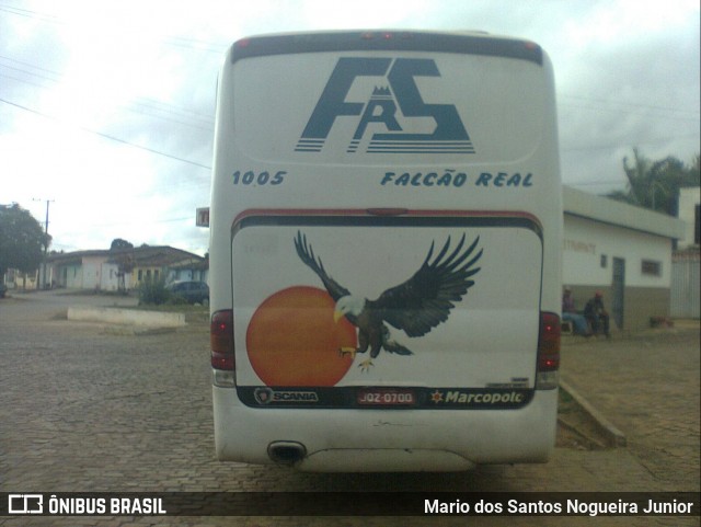 Falcão Real 1005 na cidade de Piritiba, Bahia, Brasil, por Mario dos Santos Nogueira Junior. Número da foto: #6668420.