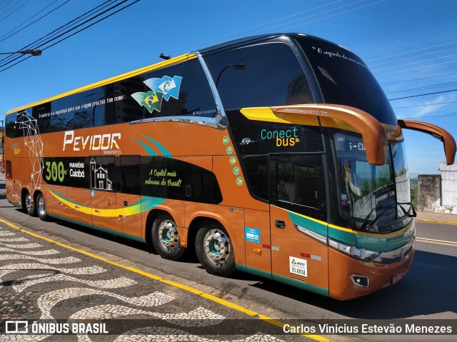 Pevidor Transportes P-20101829 na cidade de Presidente Prudente, São Paulo, Brasil, por Carlos Vinicius Estevão Menezes. Número da foto: #6676094.