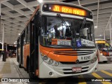 Alfa Rodobus > CooperAlfa 8 6295 na cidade de São Paulo, São Paulo, Brasil, por Matheus Barros. Número da foto: #6673074.