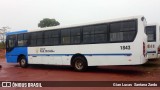 Transpaim Transportes 1843 na cidade de Pimenta Bueno, Rondônia, Brasil, por Gian Lucas  Santana Zardo. Número da foto: #6676120.