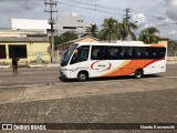 Santa Paulina do Norte Transportes 2502 na cidade de Porto Velho, Rondônia, Brasil, por Nando Kaszewski. Número da foto: #:id.