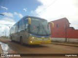 Araujo Transportes 391005 na cidade de Viana, Maranhão, Brasil, por Angelo Neves. ID da foto: :id.