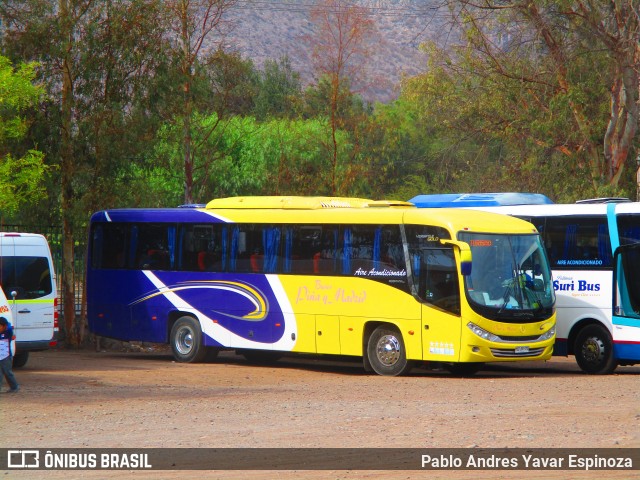 Buses Pina y Madrid  na cidade de Rinconada, Los Andes, Valparaíso, Chile, por Pablo Andres Yavar Espinoza. ID da foto: 6679349.