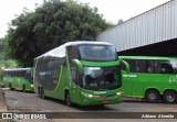 Pássaro Verde 2014 na cidade de Ponte Nova, Minas Gerais, Brasil, por Adriano  Almeida. Número da foto: #:id.
