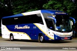 Primotur Transportes e Turismo 12400 na cidade de São Paulo, São Paulo, Brasil, por Andrey Gustavo. Número da foto: #6682259.