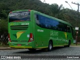Pássaro Verde 15135 na cidade de Ouro Preto, Minas Gerais, Brasil, por Daniel Gomes. Número da foto: #6682988.