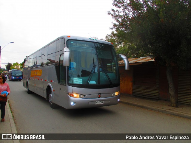 Lucero WE9782 na cidade de Melipilla, Melipilla, Metropolitana de Santiago, Chile, por Pablo Andres Yavar Espinoza. ID da foto: 6687413.