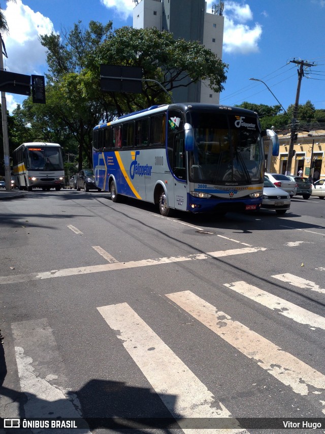 Felippetur Transportes 3000 na cidade de Belo Horizonte, Minas Gerais, Brasil, por Vitor Hugo. Número da foto: #6688660.