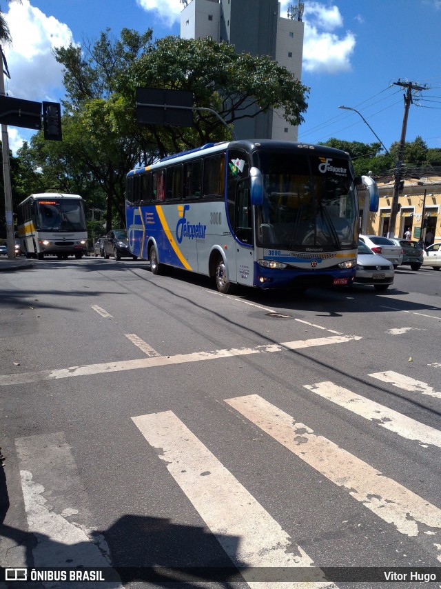 Felippetur Transportes 3000 na cidade de Belo Horizonte, Minas Gerais, Brasil, por Vitor Hugo. ID da foto: 6688660.