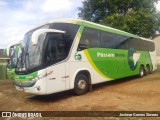 Pássaro Verde 11101 na cidade de Minas Novas, Minas Gerais, Brasil, por Josimar Gomes Simoes. Número da foto: #6688622.
