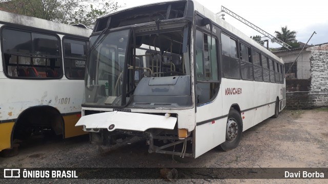 Trevo Transportes Coletivos 1219 na cidade de Porto Alegre, Rio Grande do Sul, Brasil, por Davi Borba. ID da foto: 6617006.