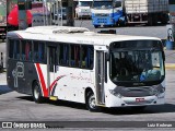 Paraibuna Transportes 16002 na cidade de Juiz de Fora, Minas Gerais, Brasil, por Luiz Krolman. Número da foto: #6617113.
