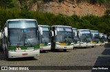 Empresa Gontijo de Transportes 20065 na cidade de Belo Horizonte, Minas Gerais, Brasil, por Jacy Emiliano. Número da foto: #6692471.