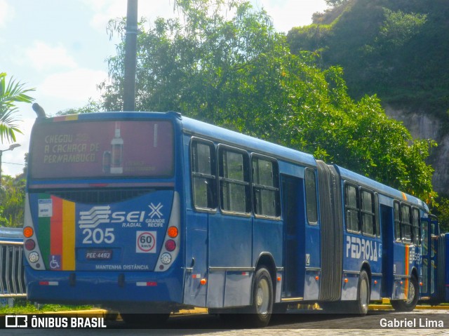 Empresa Pedrosa 205 na cidade de Recife, Pernambuco, Brasil, por Gabriel Lima. Número da foto: #6626531.