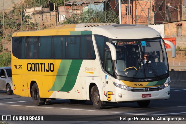 Empresa Gontijo de Transportes 7025 na cidade de Salvador, Bahia, Brasil, por Felipe Pessoa de Albuquerque. ID da foto: 6624200.