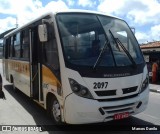 Águia Dourada 2097 na cidade de Itaporanga d`Ajuda, Sergipe, Brasil, por Marcos Danilo. Número da foto: #:id.