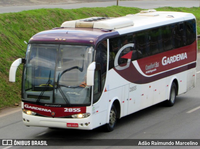 Expresso Gardenia 2855 na cidade de Belo Horizonte, Minas Gerais, Brasil, por Adão Raimundo Marcelino. Número da foto: #6631128.