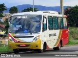 Rouxinol 1615 na cidade de Belo Horizonte, Minas Gerais, Brasil, por Adão Raimundo Marcelino. Número da foto: #6631160.