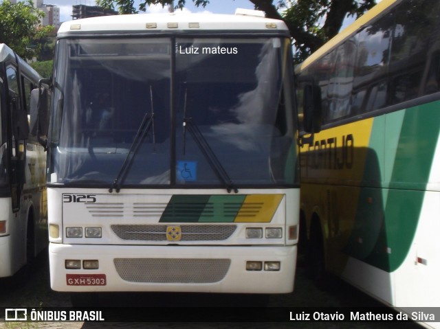 Empresa Gontijo de Transportes 3125 na cidade de Belo Horizonte, Minas Gerais, Brasil, por Luiz Otavio Matheus da Silva. ID da foto: 6633239.