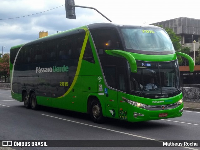 Pássaro Verde 2015 na cidade de Belo Horizonte, Minas Gerais, Brasil, por Matheus Rocha. ID da foto: 6633829.