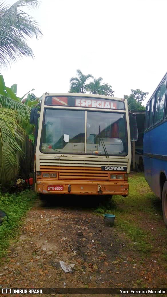 Melancia Transportes 8503 na cidade de Belém, Pará, Brasil, por Yuri Ferreira Marinho. Número da foto: #6632886.