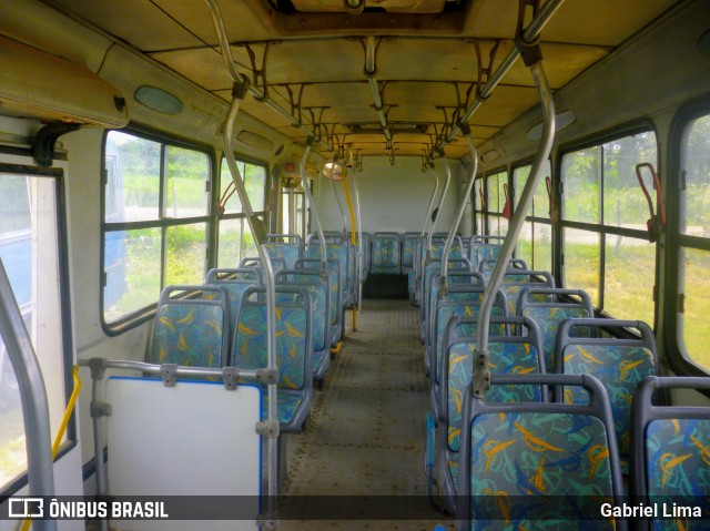 Transportadora Globo 266 na cidade de Paudalho, Pernambuco, Brasil, por Gabriel Lima. Número da foto: #6635433.