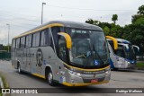 RodeRotas - Rotas de Viação do Triângulo 7132 na cidade de São Paulo, São Paulo, Brasil, por Rodrigo Matheus. Número da foto: #6633488.