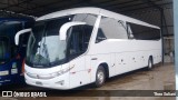 Brisa Bus  na cidade de Penápolis, São Paulo, Brasil, por Theo Soliani. Número da foto: #6633905.