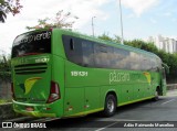 Pássaro Verde 15131 na cidade de Belo Horizonte, Minas Gerais, Brasil, por Adão Raimundo Marcelino. Número da foto: #:id.