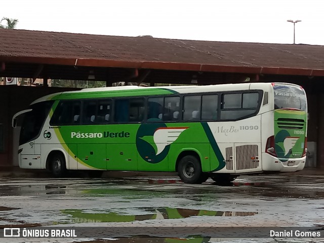 Pássaro Verde 11090 na cidade de Ouro Preto, Minas Gerais, Brasil, por Daniel Gomes. Número da foto: #6636845.