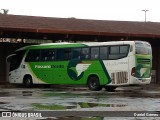 Pássaro Verde 11090 na cidade de Ouro Preto, Minas Gerais, Brasil, por Daniel Gomes. Número da foto: #6636845.