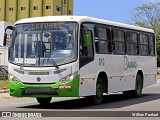 Baiano Transportes 010 na cidade de Caruaru, Pernambuco, Brasil, por Willian Pontual. Número da foto: #6635614.