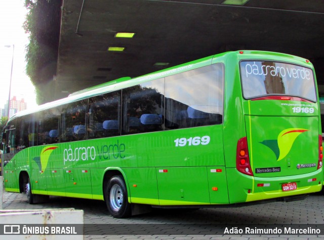 Pássaro Verde 19169 na cidade de Belo Horizonte, Minas Gerais, Brasil, por Adão Raimundo Marcelino. Número da foto: #6696397.