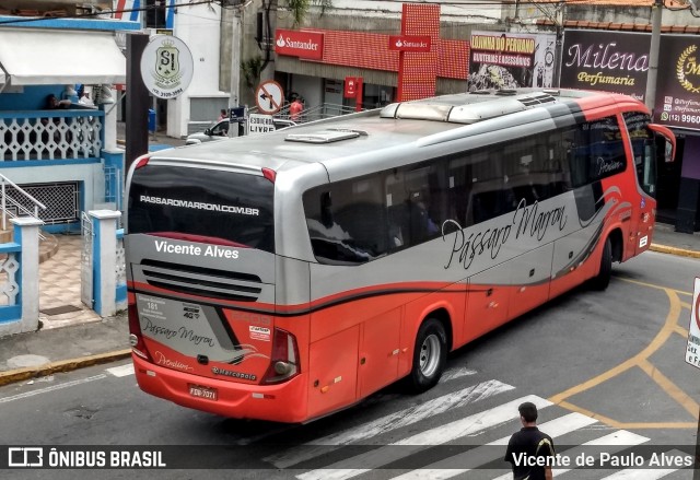 Empresa de Ônibus Pássaro Marron 5409 na cidade de Aparecida, São Paulo, Brasil, por Vicente de Paulo Alves. Número da foto: #6694605.