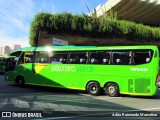 Pássaro Verde 19148 na cidade de Belo Horizonte, Minas Gerais, Brasil, por Adão Raimundo Marcelino. Número da foto: #:id.