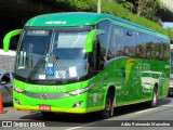 Pássaro Verde 19164 na cidade de Belo Horizonte, Minas Gerais, Brasil, por Adão Raimundo Marcelino. Número da foto: #6696456.