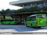 Setelagoano 19137 na cidade de Belo Horizonte, Minas Gerais, Brasil, por Adão Raimundo Marcelino. Número da foto: #6719523.