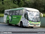 Pássaro Verde 11081 na cidade de Ouro Preto, Minas Gerais, Brasil, por Daniel Gomes. Número da foto: #6721672.