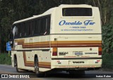 Disk Bus 2979 na cidade de Santos Dumont, Minas Gerais, Brasil, por Isaias Ralen. Número da foto: #:id.