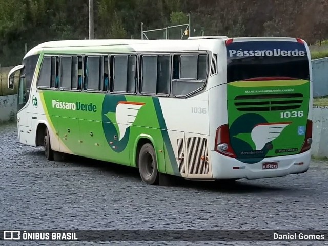 Pássaro Verde 1036 na cidade de Ouro Preto, Minas Gerais, Brasil, por Daniel Gomes. ID da foto: 6722587.