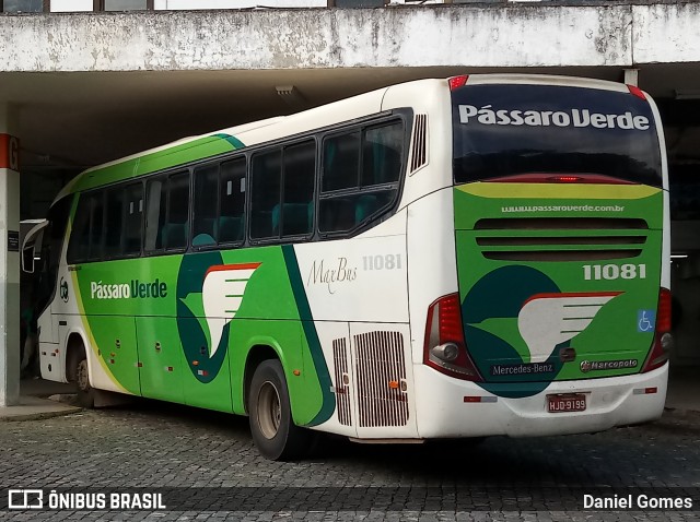 Pássaro Verde 11081 na cidade de Ouro Preto, Minas Gerais, Brasil, por Daniel Gomes. Número da foto: #6723853.