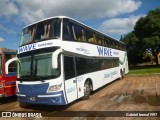 Wave Turismo 004 na cidade de Federación, Federación, Entre Ríos, Argentina, por Gabriel bernal1997. Número da foto: #6727018.