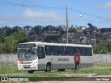 Borborema Imperial Transportes 031 na cidade de Recife, Pernambuco, Brasil, por Igor Felipe. ID da foto: :id.