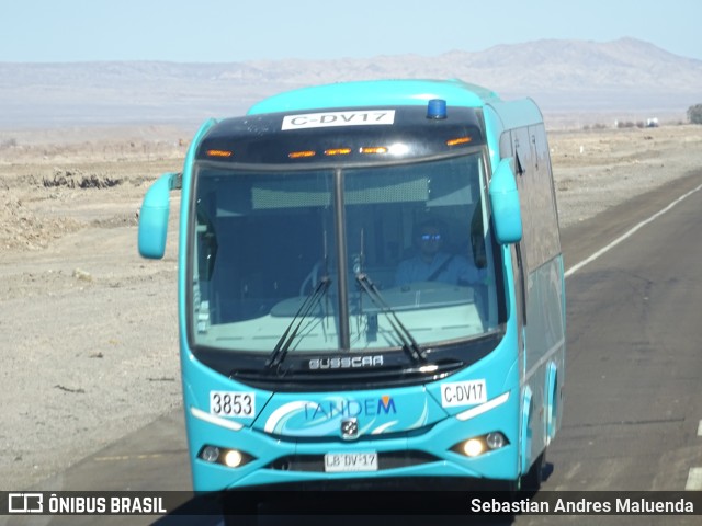 Tandem 3853 na cidade de Calama, El Loa, Antofagasta, Chile, por Sebastian Andres Maluenda. ID da foto: 6699582.