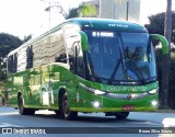 Pássaro Verde 19162 na cidade de Belo Horizonte, Minas Gerais, Brasil, por Bruno Silva Souza. Número da foto: #:id.