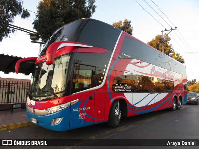 Cormar Bus 113 na cidade de La Serena, Elqui, Coquimbo, Chile, por Araya Daniel . Número da foto: #6745163.