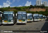 Empresa Gontijo de Transportes 12350 na cidade de Belo Horizonte, Minas Gerais, Brasil, por Jacy Emiliano. ID da foto: :id.