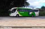 Pássaro Verde 11085 na cidade de Diamantina, Minas Gerais, Brasil, por Rogério Rodrigues Adelar. Número da foto: #6748389.
