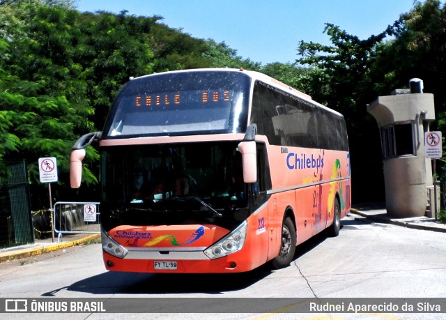 Chilebus Internacional 223 na cidade de São Paulo, São Paulo, Brasil, por Rudnei Aparecido da Silva. Número da foto: #6752123.
